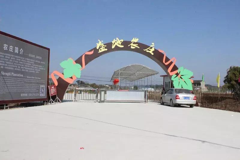 简阳五一有什么好玩的地方,国庆七天假去什么地方玩