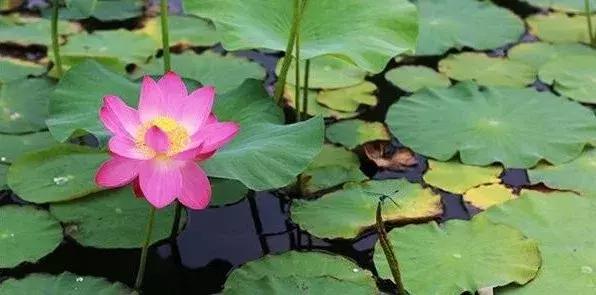 威海游览,威海玩美攻略潮玩街区