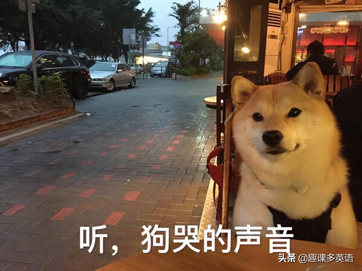 #秋天的第一杯奶茶#刷屏！英文不是milktea？