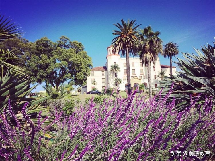 出国留学建议学哪些专业知识好,出国留学的20个条件有哪些