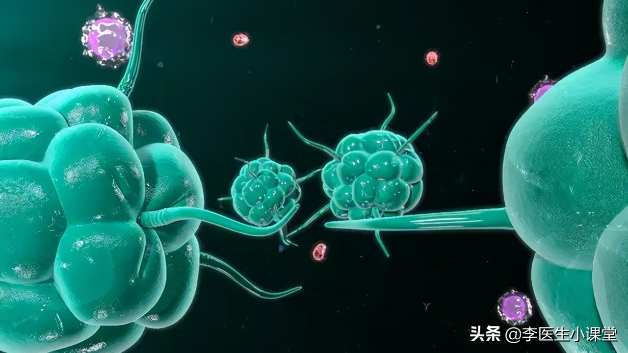 阿莫西林跟头孢是抗生素吗,阿莫西林和头孢哪个消炎效果更强