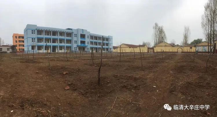 临清市大辛庄小学校长和幼儿园园长参观大辛庄中学疫情防控情况