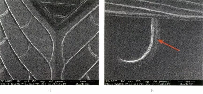 徐州狮子山楚王陵玉器,狮子山楚王出土玉器