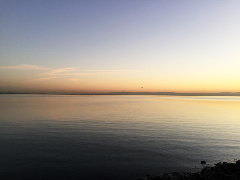 美国旧金山市规划,美国旧金山公园