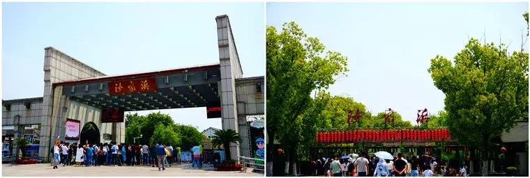 扬帆再起航完整视频,扬帆再起航完整版