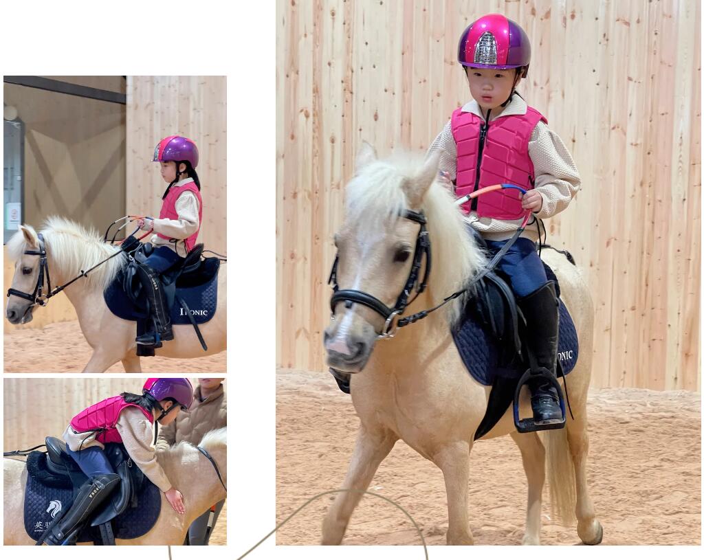 徐州英骐国际马术,徐州英琪国际马术中心