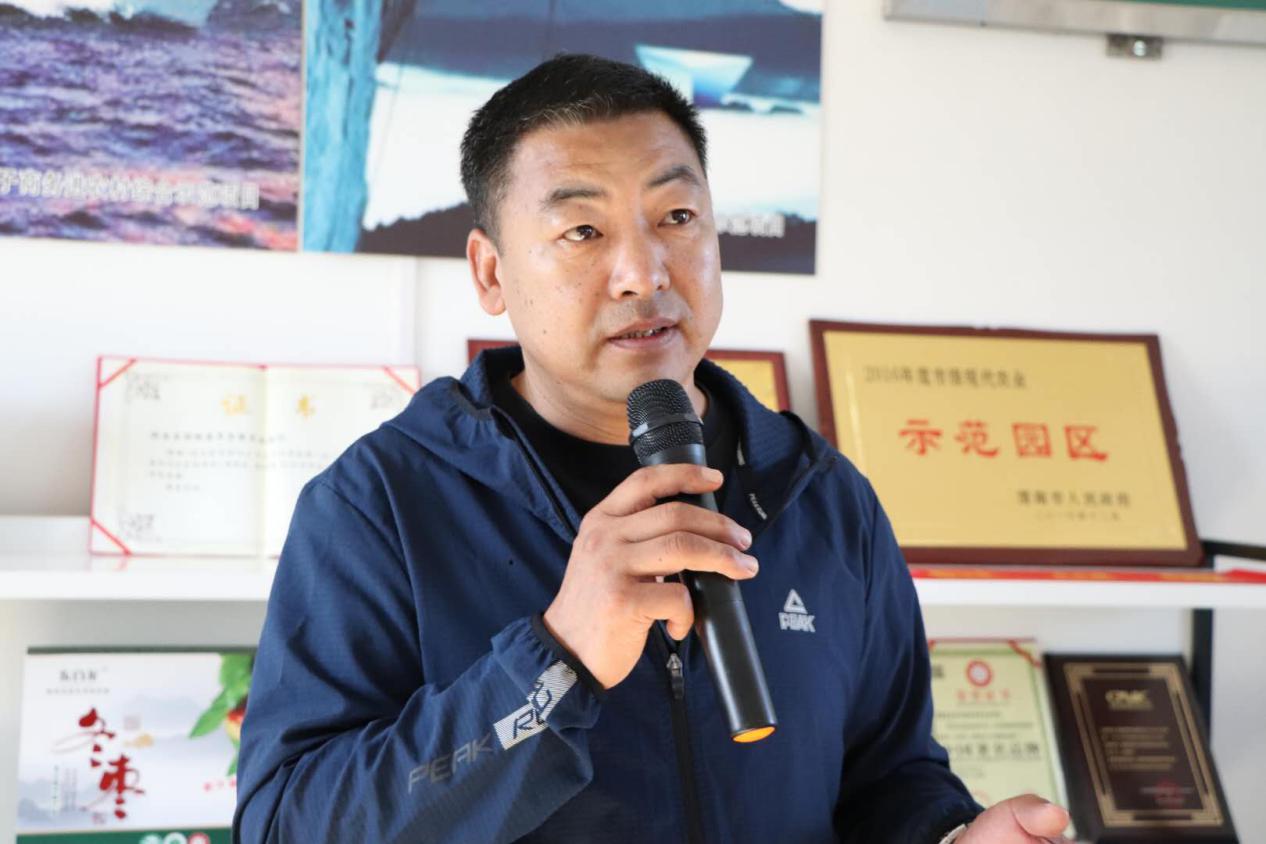 种植致富树,种植农民致富新路