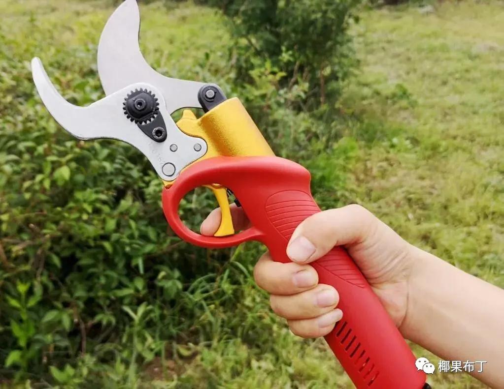 最好用的园艺剪刀排名,园艺剪刀哪个品牌最好