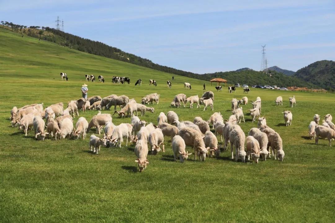 异国风情的东北城市,东北欧洲风情的城市