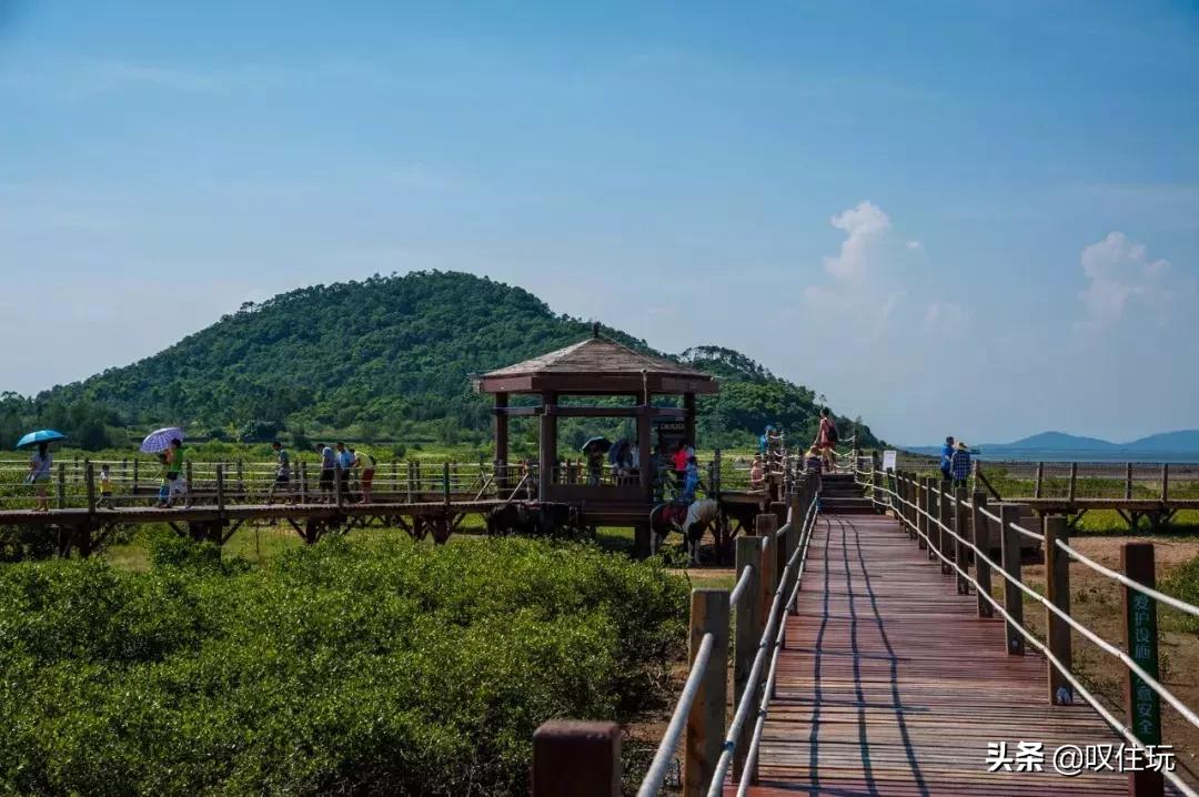 海陵岛黄金敏捷海岸怎么玩,海陵岛黄金海岸度假公寓