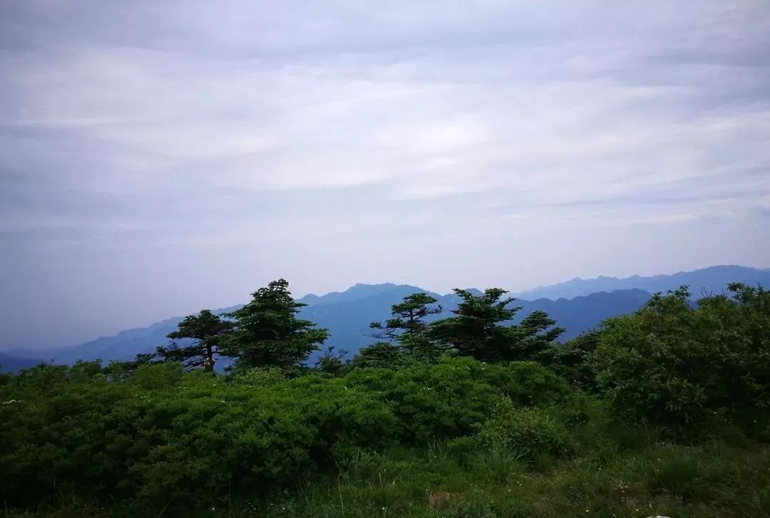 一起爬山吗?西安这些山不仅野,还不要钱~