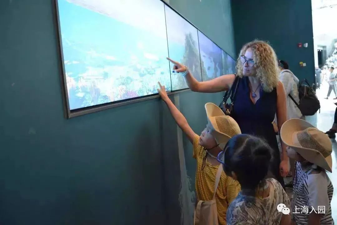 探园高端幼儿园,探园本地幼儿园