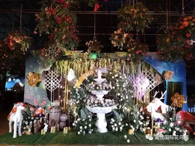 江阴嘉茂国际花鸟园,江阴嘉茂国际花鸟园什么时候再开