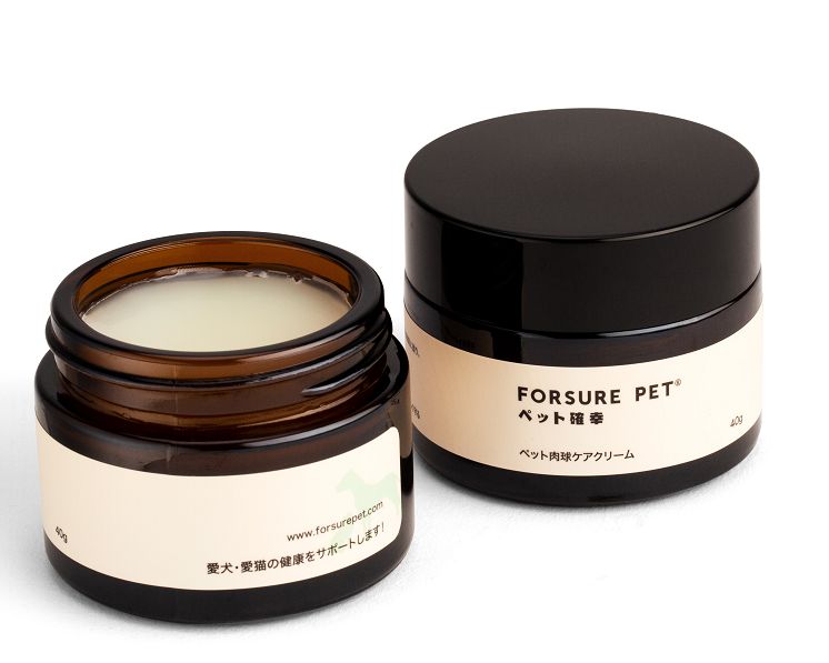 狗狗夏天出门烫伤脚怎么办,夏天狗狗脚会烫伤吗