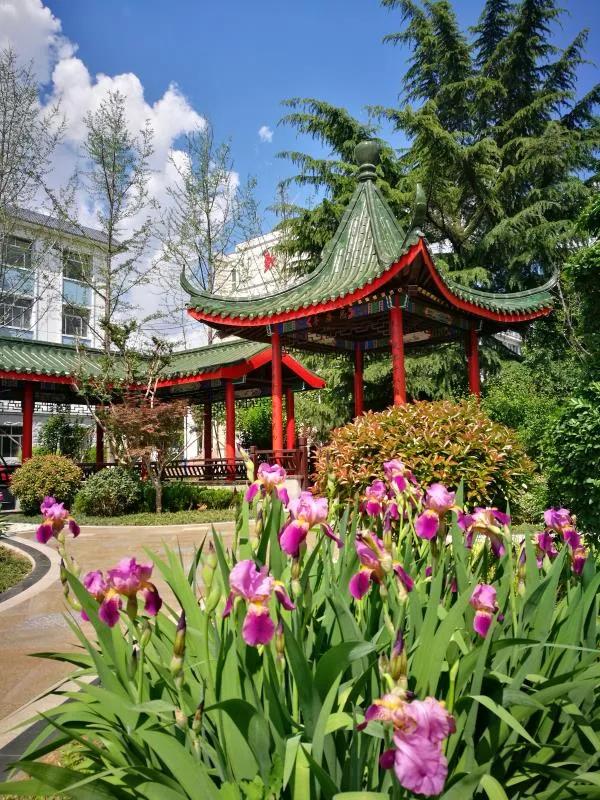 山东省聊城三中在山东省的排名,聊城三中在全国排名