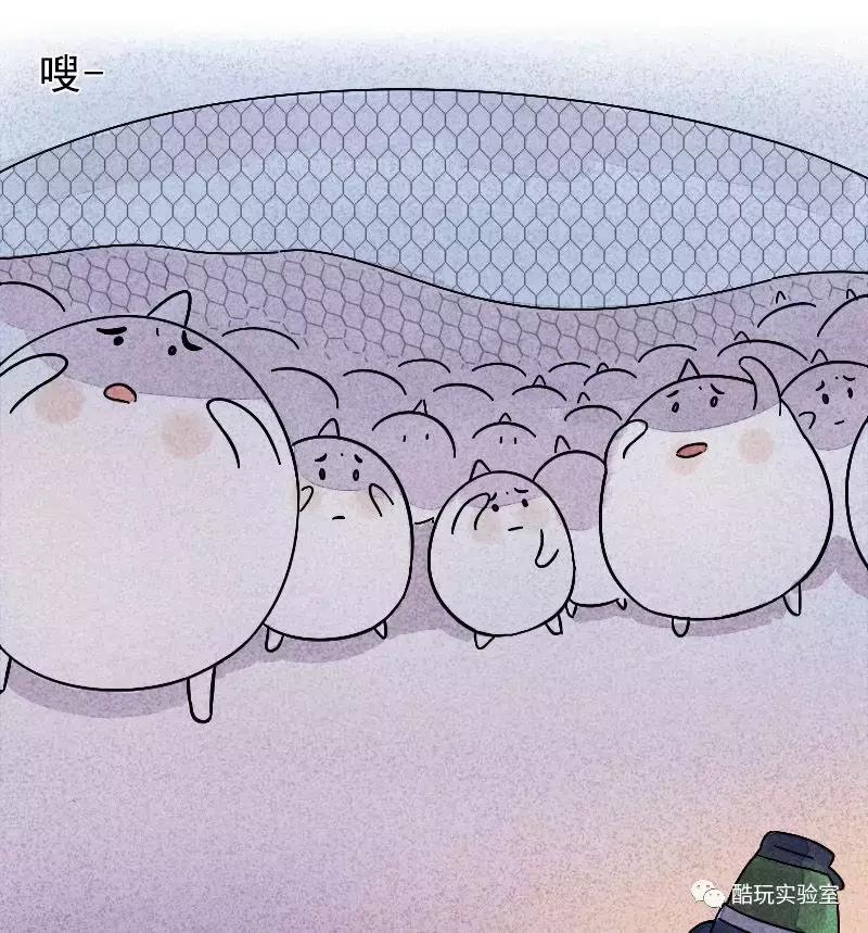 吃太多的糖会让你变胖,让你变丑变老的不是脂肪而是糖