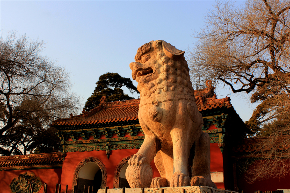 东北唯一新一线的城市,东北唯一的特大城市