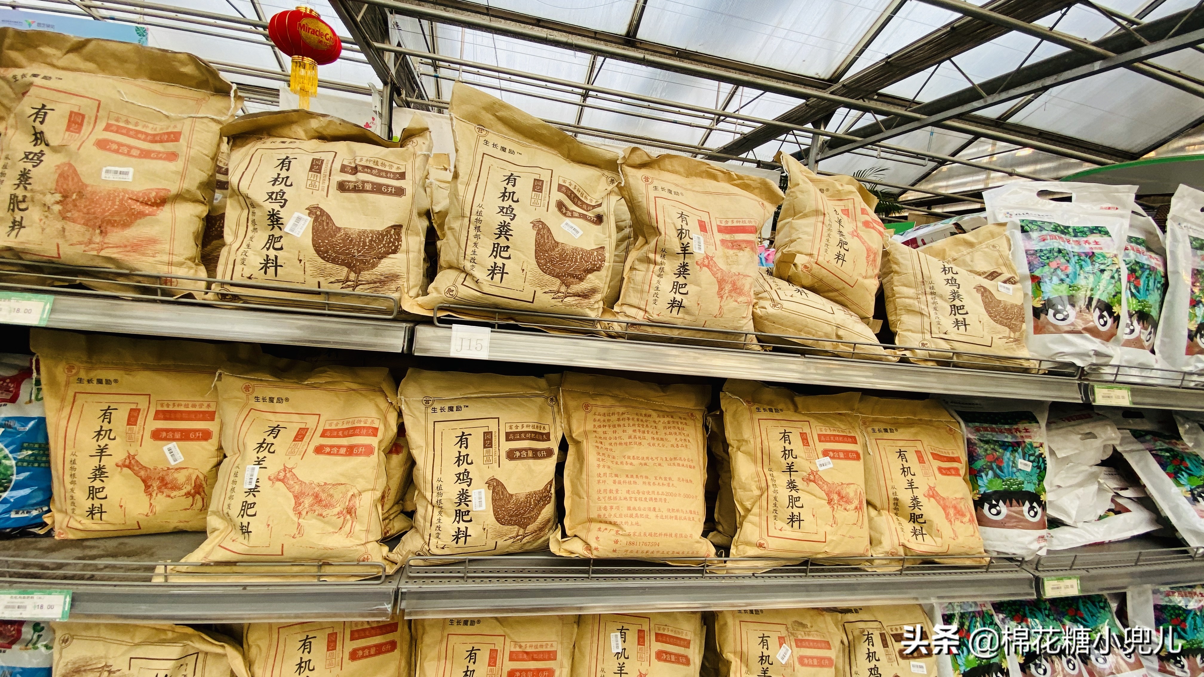 北京南四环花卉绿植批发市场,北京开一家鲜花店