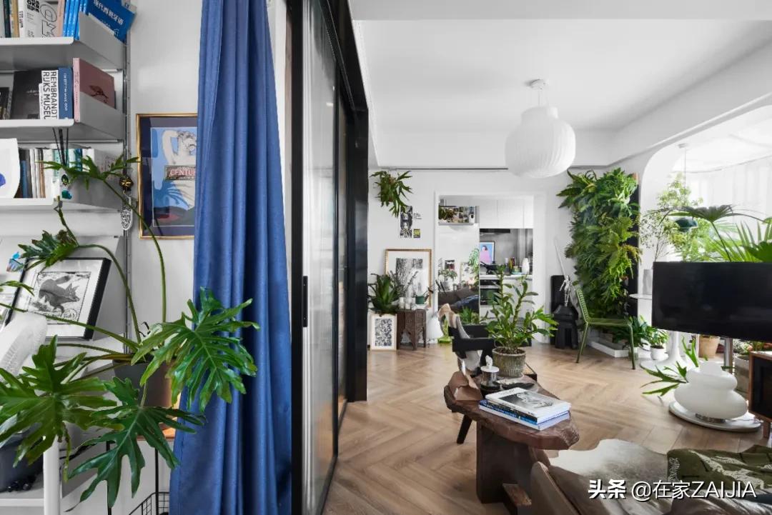 绿植达人爆改70㎡顶层公寓，没有院子却满屋都是花园