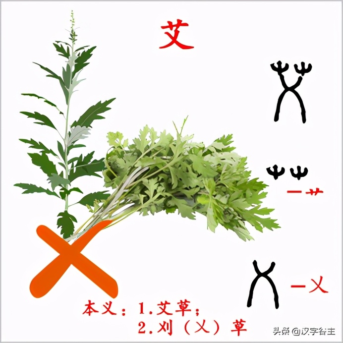 大语文大在哪?汉字思维是什么?以“夜未艾”的“艾”作例讲开去