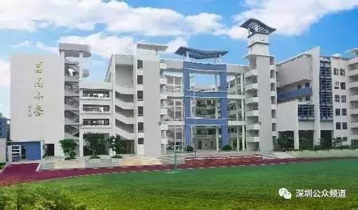 深圳贵族小学,深圳贵族小学排名前十名