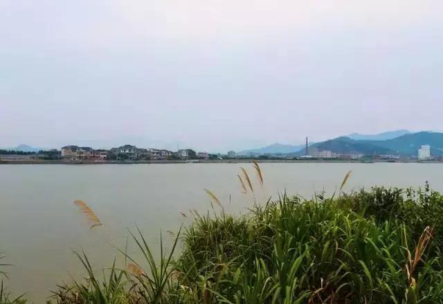 宁波周边踏青免费一日游,宁波踏青游玩的景点