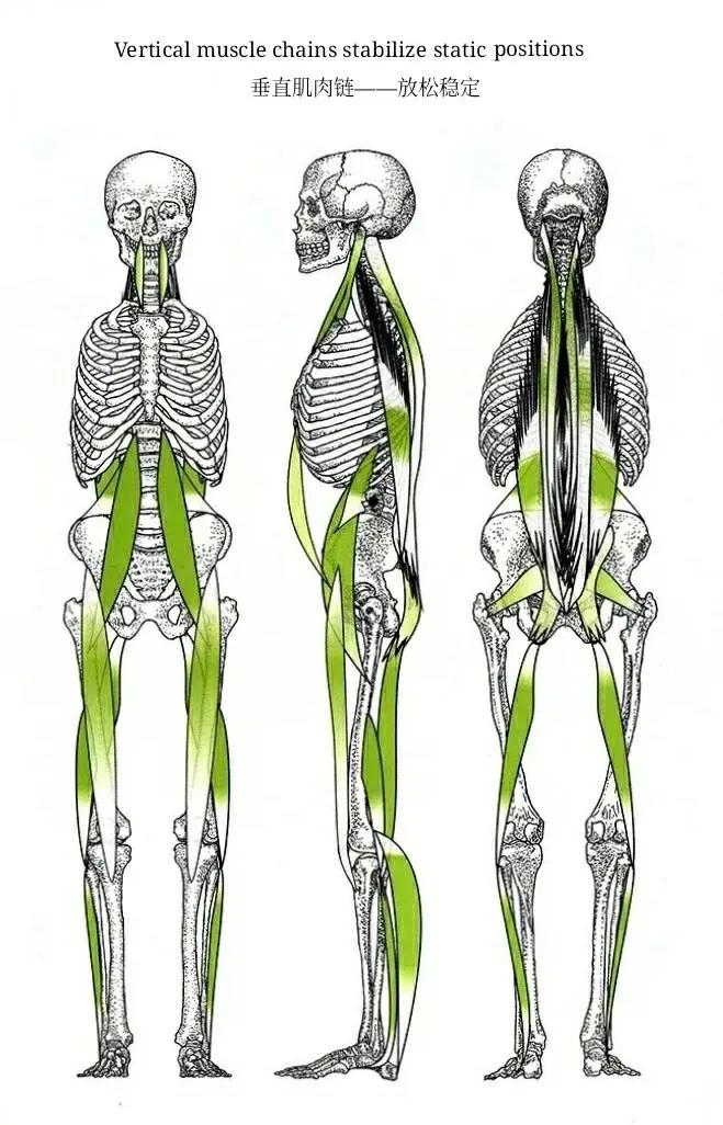sps鍒涘浜虹悊鏌ュ痉,鐞嗘煡寰蜂翰鎺坰ps瀵煎笀