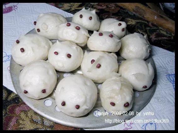 动物界的顶流,动物界熊猫顶流