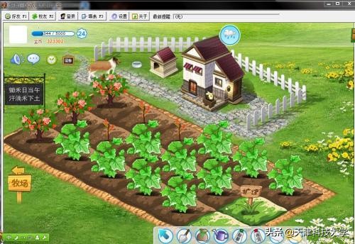 那些年装扮过的QQ空间，那段青涩的时光