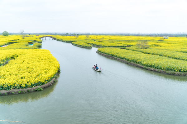 踏春赏花拍美景,踏春赏花逛湖