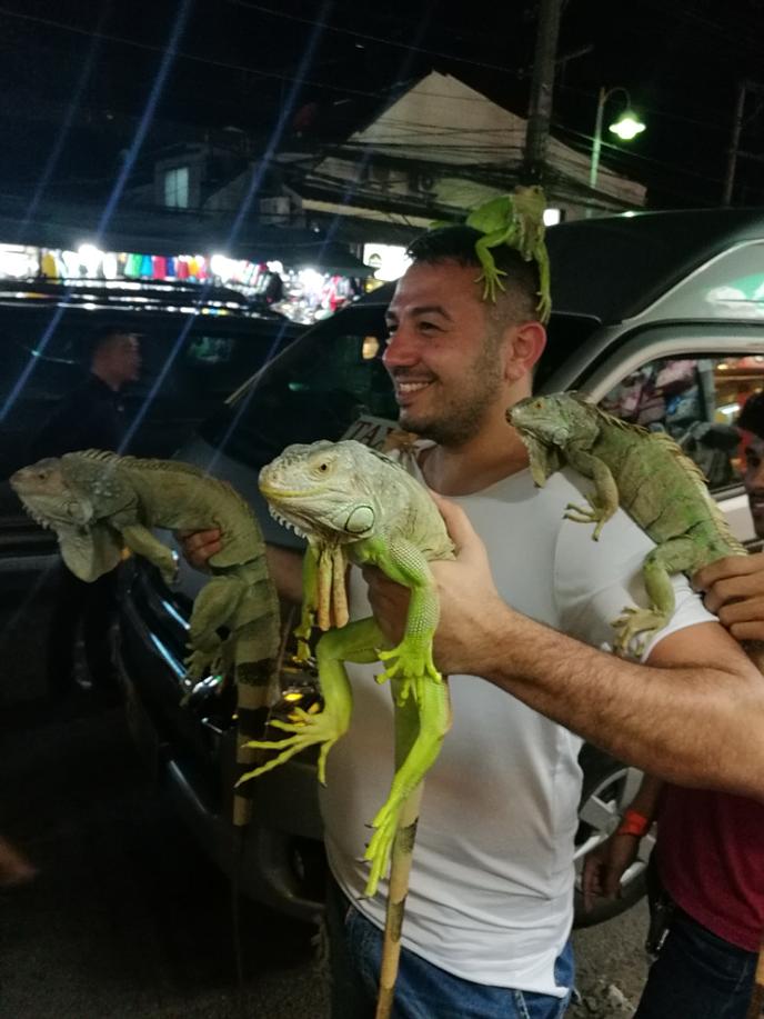 泰国普吉岛斯米兰岛旅游攻略,泰国旅游普吉岛的夏天皮皮岛浮潜