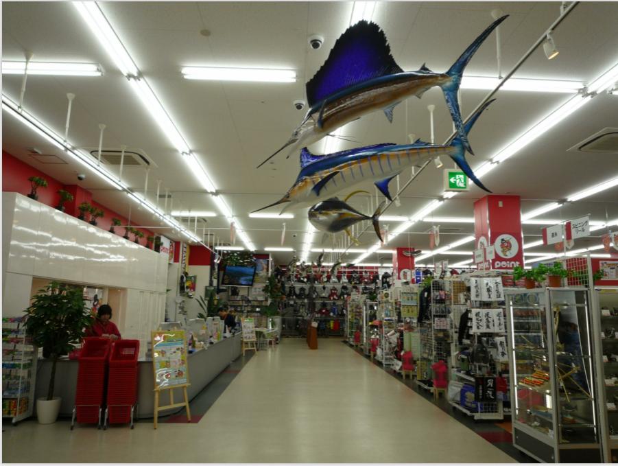 日本进口钓具专卖店直播,日本野钓鱼具店