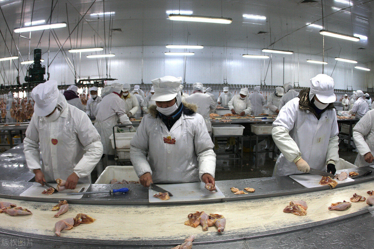 不用厨师就可以开餐厅,开快餐店不会做菜又不想请厨师