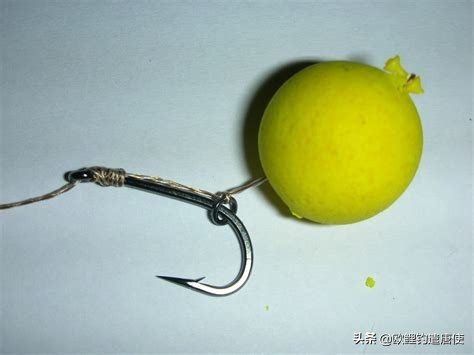 有哪些基础钓法初学者要学会,新手最稳妥的一种钓法