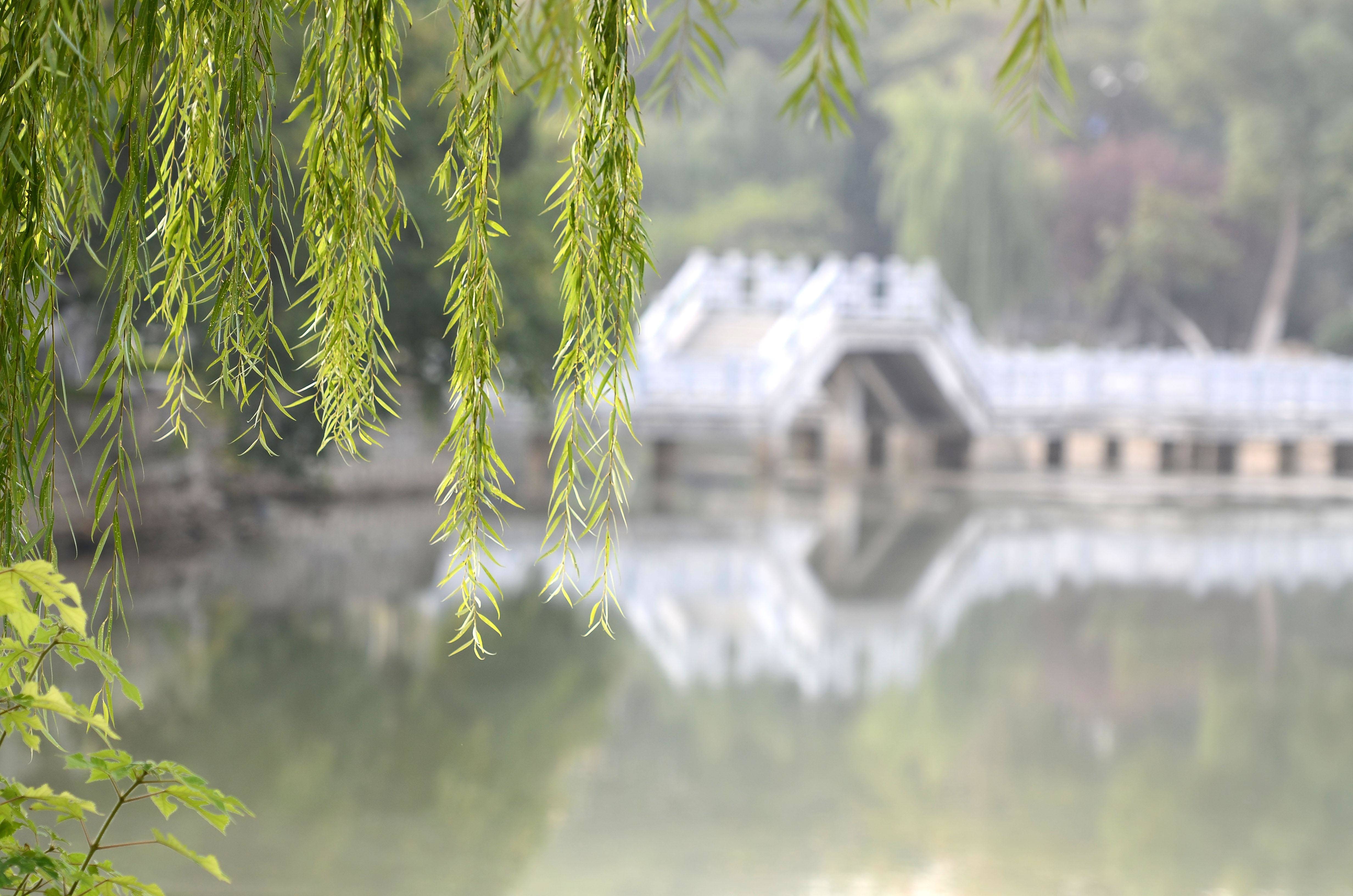 芜湖话怎么说,芜湖方言里的芜湖