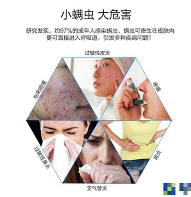 生活中常见的致命毒虫,澳洲常见的几种虫子