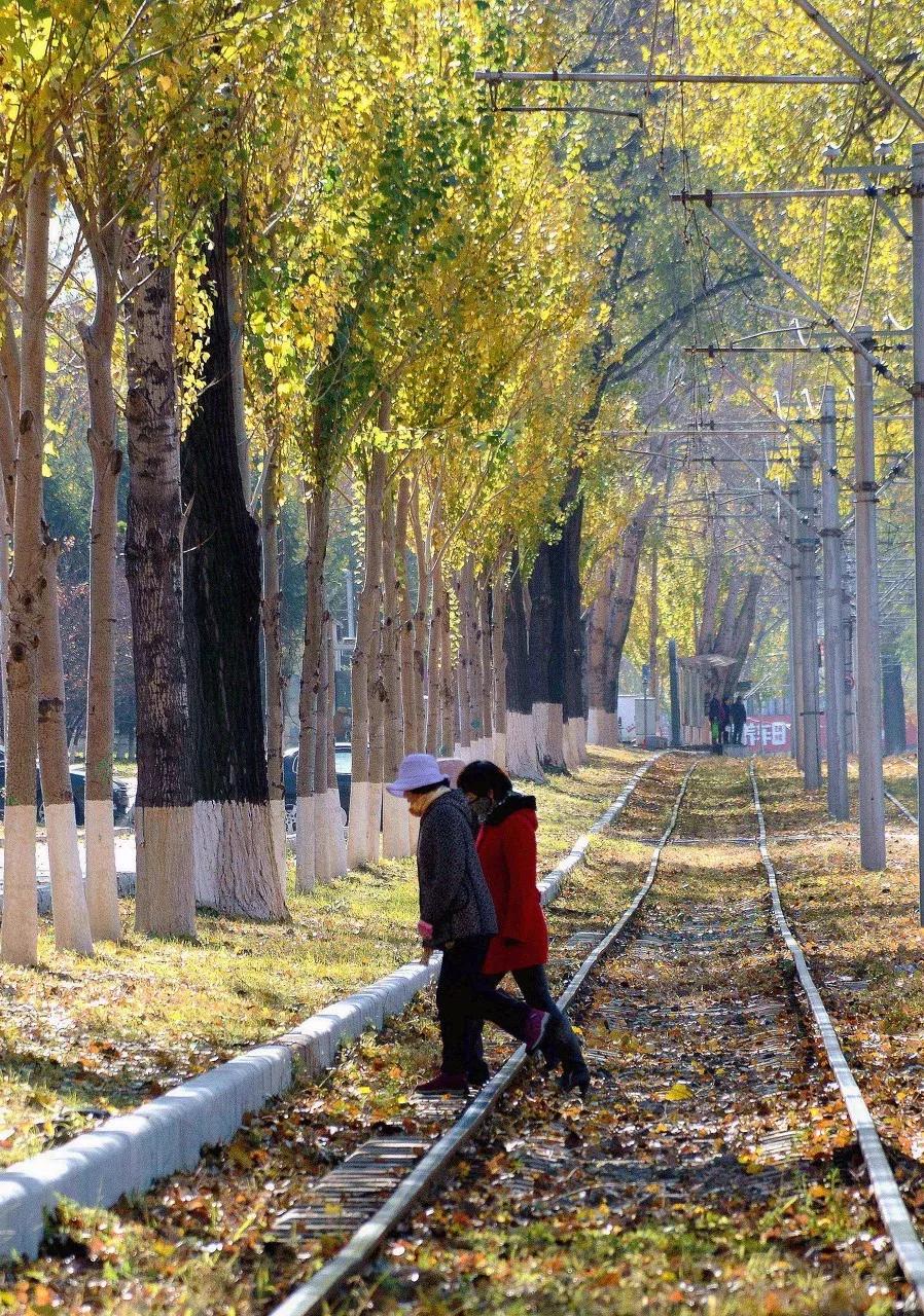 东北三省最适合宜居的城市,东北三省宜居养老城市