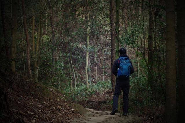 拓乐车顶行李框测评,车顶自行车架拓乐