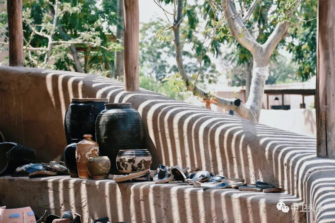 中卫大学生,大学生沙坡头