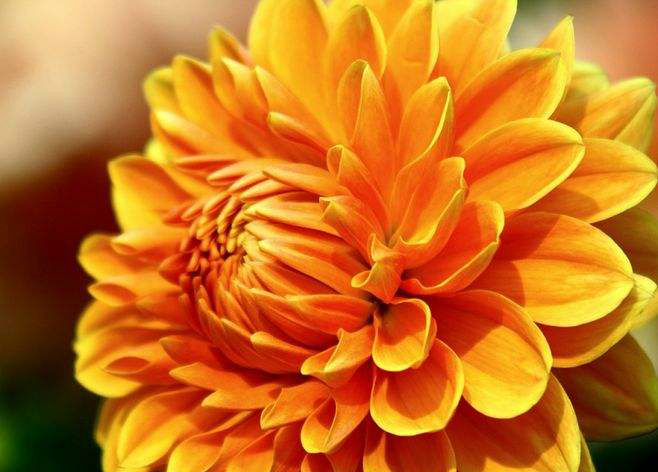 无法看清自己的人最可悲,看清一个人的十种方法