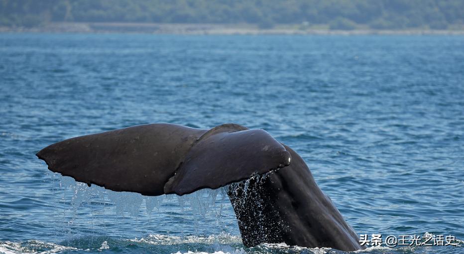 新西兰是地球最后的净土吗,新西兰十大未解之谜