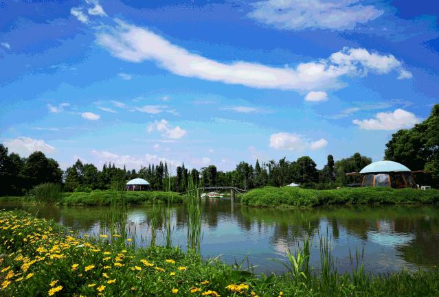 成都温江特色旅游,新旅游潮成都主题旅游目的地