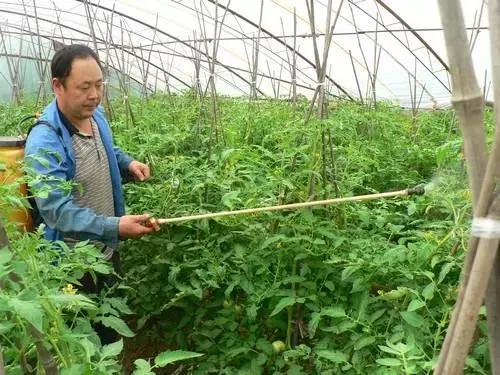 农药杀虫剂种类与作用有哪些,农药杀虫剂别乱选