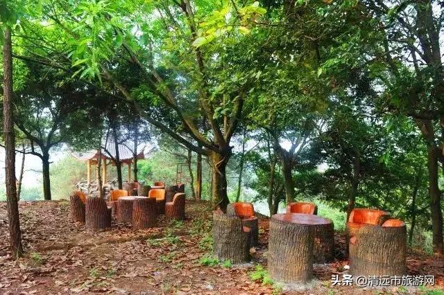 美景就在家门口下句是,美景就在家门外