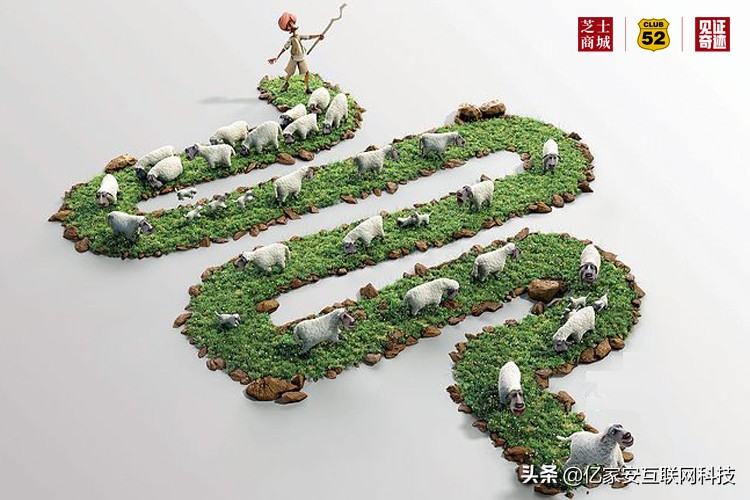 什么东西能改善肠道菌群,带您认识和保护肠道菌群