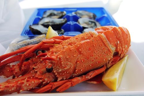 中国工厂停工，澳洲进出口两头紧，哪些公司的股票岌岌可危？