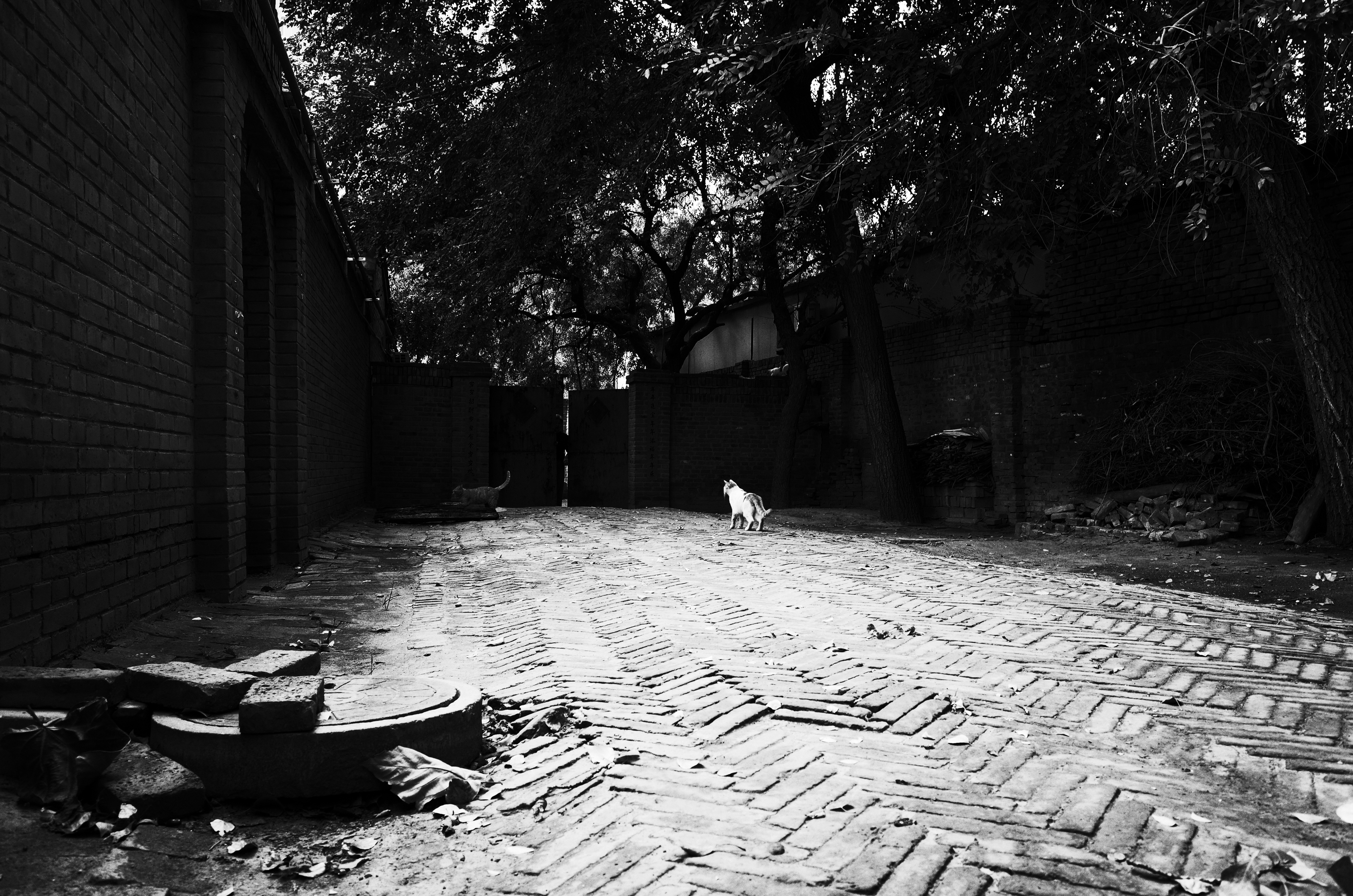 不要被器材左右，我们追求的终究还是摄影的精髓：理光GR（下）