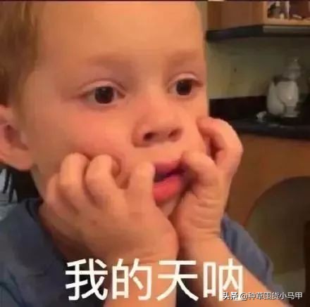 怎样才能看出来代购是真是假,警惕虚假代购骗局