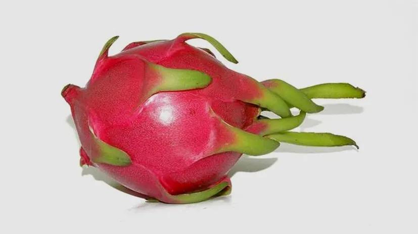 白血病腿疼和发烧是同时进行的吗,白血病出现小腿红肿热是初期吗