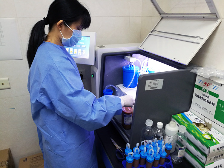 屎是不是可以治病,粪便可以治病嘛